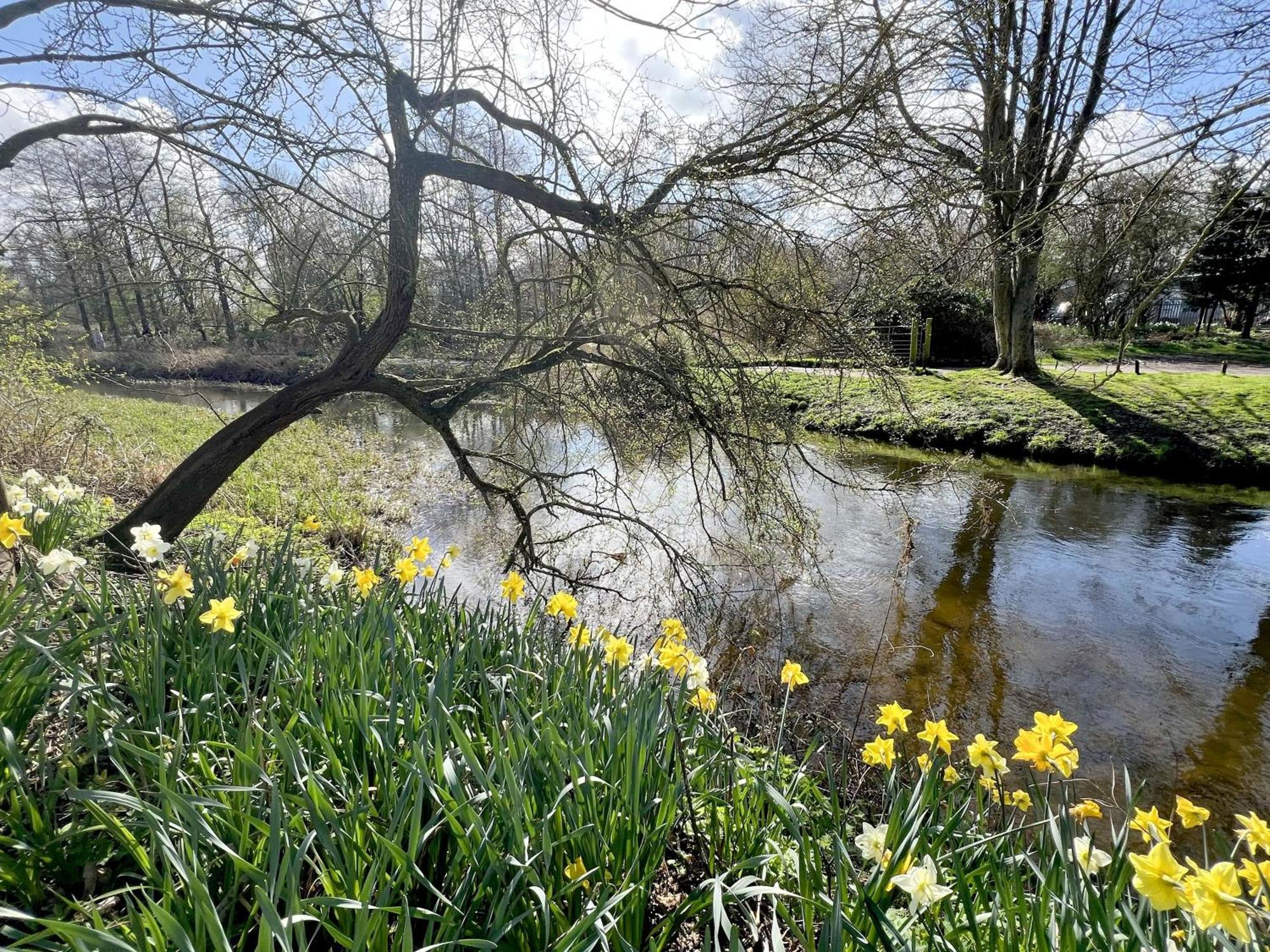 River Rose Holiday home *