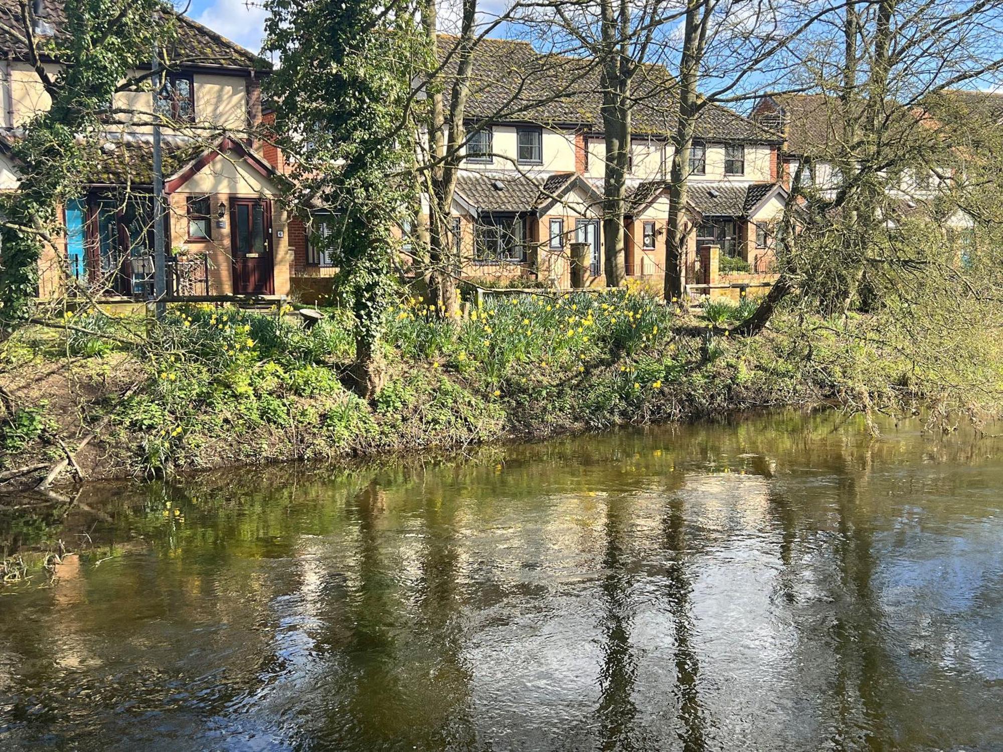 River Rose Fakenham